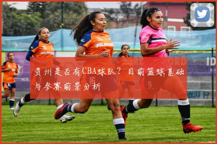 贵州是否有CBA球队?目前篮球基础与参赛前景分析
