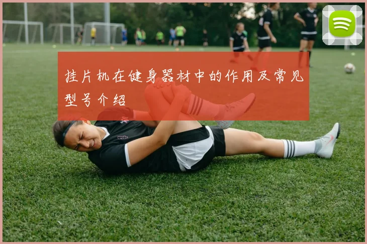 挂片机在健身器材中的作用及常见型号介绍