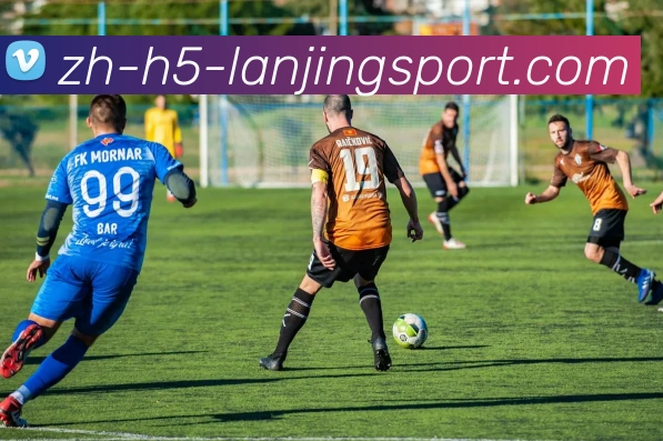 蓝鲸体育平台生态图